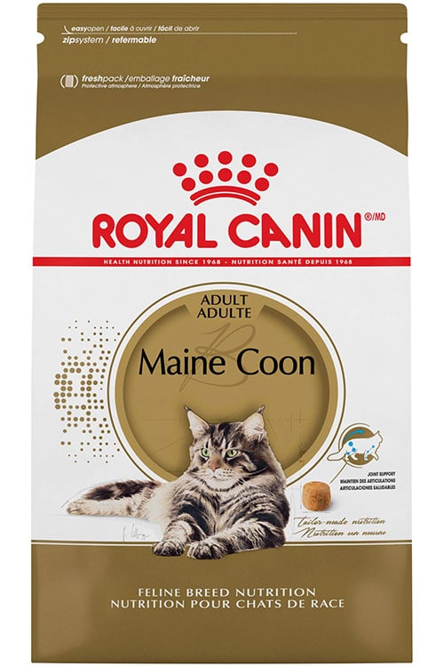 pienso royal canin para maine coon